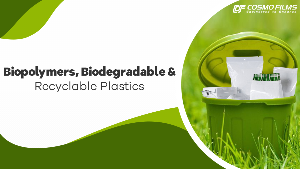 Biopolymères, plastiques biodégradables et recyclables : emballages pour un avenir durable
